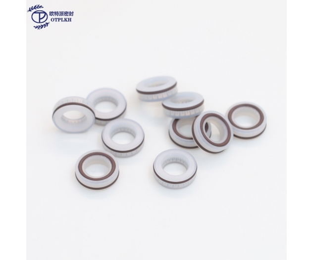 Spring Seal Ring for Shaft UHMWPE UPE Seals ultra high molecular weight polyethylene V-Spring FKM O-ring factory customized OTPLKH